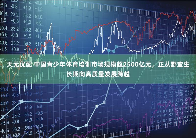 天元优配 中国青少年体育培训市场规模超2500亿元，正从野蛮生长期向高质量发展跨越