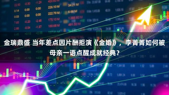 金瑞鼎盛 当年差点因片酬拒演《金婚》，李菁菁如何被母亲一语点醒成就经典？