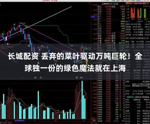 长城配资 丢弃的菜叶驱动万吨巨轮！全球独一份的绿色魔法就在上海