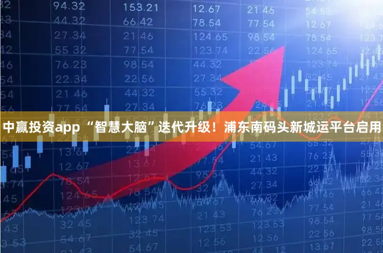 中赢投资app “智慧大脑”迭代升级！浦东南码头新城运平台启用