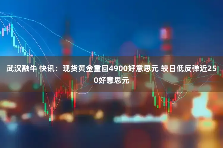 武汉融牛 快讯：现货黄金重回4900好意思元 较日低反弹近250好意思元