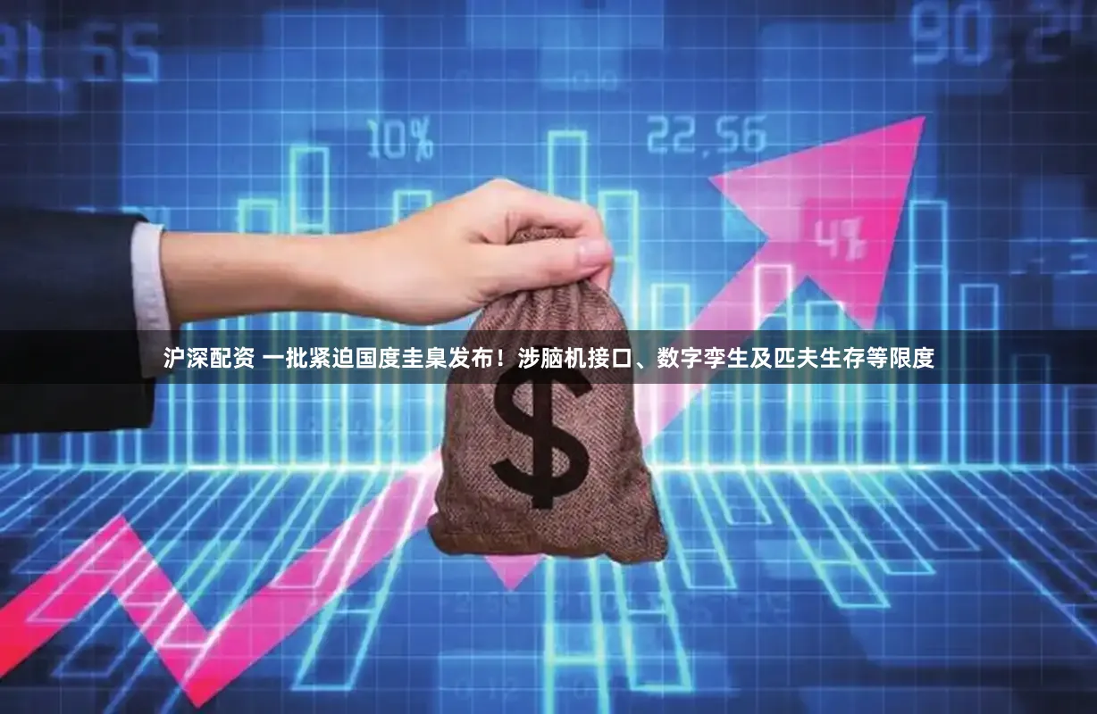 沪深配资 一批紧迫国度圭臬发布！涉脑机接口、数字孪生及匹夫生存等限度