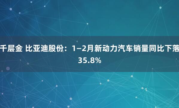 千层金 比亚迪股份：1—2月新动力汽车销量同比下落35.8%