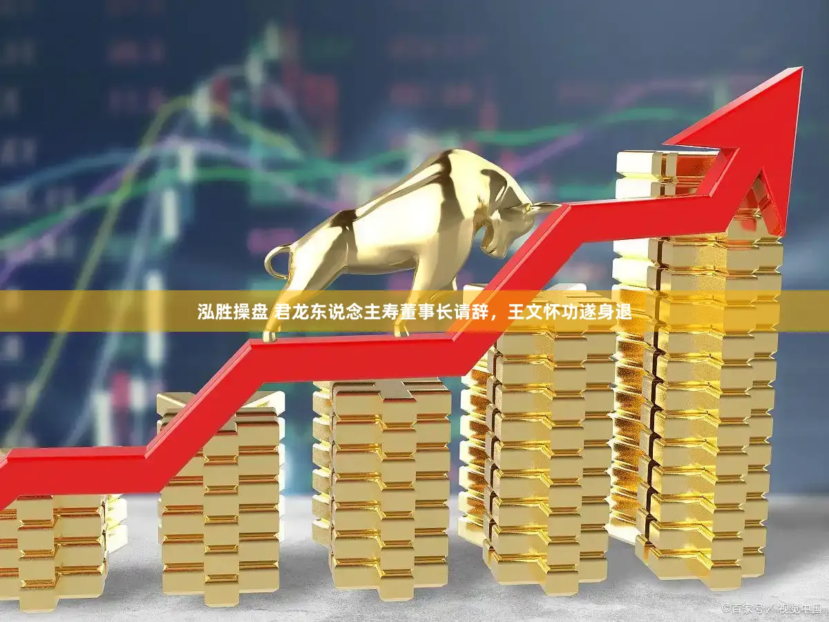 泓胜操盘 君龙东说念主寿董事长请辞，王文怀功遂身退