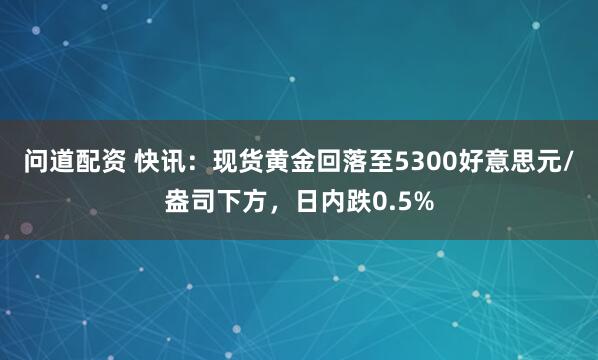 问道配资 快讯：现货黄金回落至5300好意思元/盎司下方，日内跌0.5%