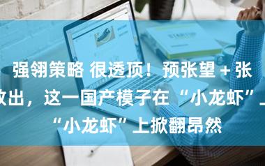 强翎策略 很透顶！预张望＋张望框架全放出，这一国产模子在 “小龙虾”上掀翻昂然