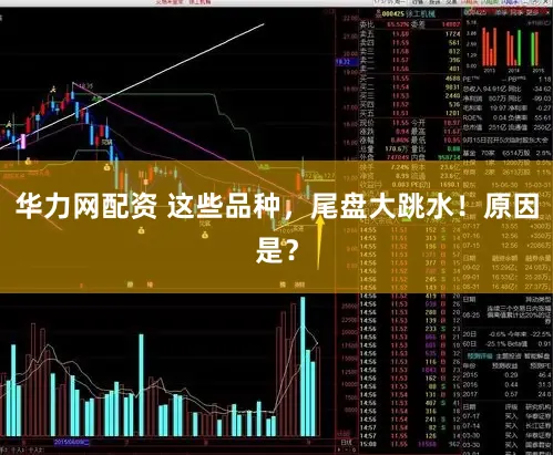华力网配资 这些品种，尾盘大跳水！原因是？