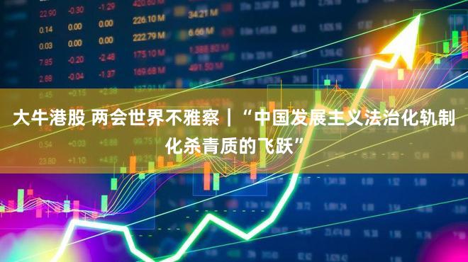 大牛港股 两会世界不雅察｜“中国发展主义法治化轨制化杀青质的飞跃”