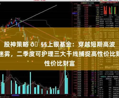 股神策略 🧧上银基金：穿越短期高波动迷雾，二季度可护理三大干线捕捉高性价比财富