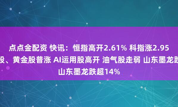 点点金配资 快讯：恒指高开2.61% 科指涨2.95% 科网股、黄金股普涨 AI运用股高开 油气股走弱 山东墨龙跌超14%