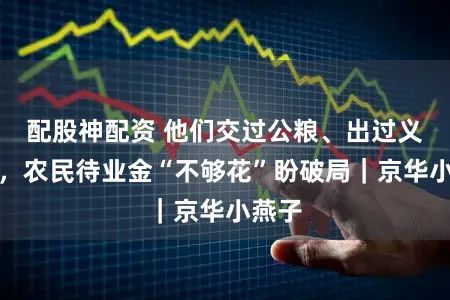 配股神配资 他们交过公粮、出过义务工，农民待业金“不够花”盼破局｜京华小燕子