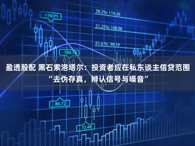 盈透股配 黑石索洛塔尔：投资者应在私东谈主信贷范围“去伪存真，辨认信号与噪音”