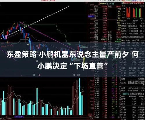 东盈策略 小鹏机器东说念主量产前夕 何小鹏决定“下场直管”
